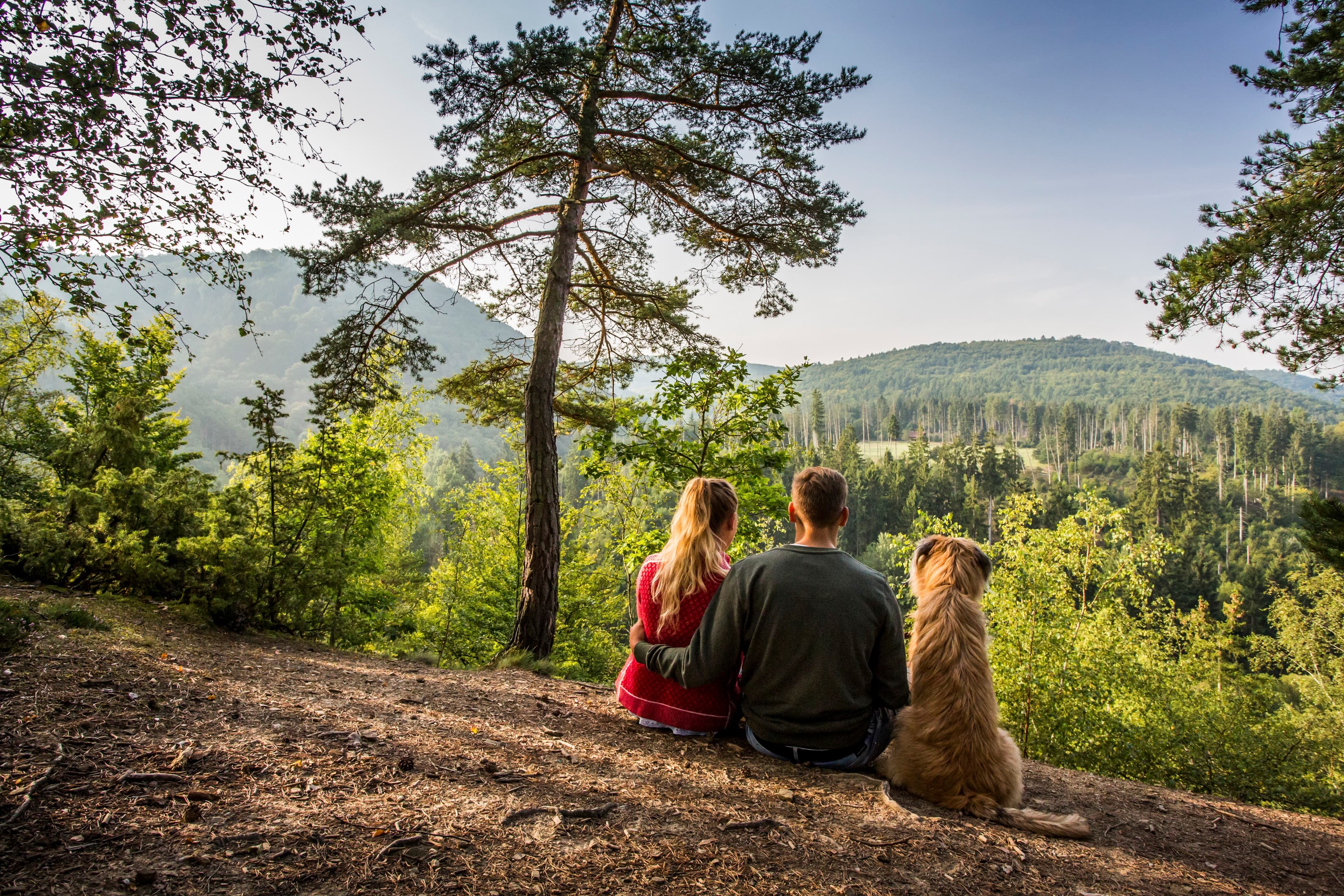 Image at row 2, column 4