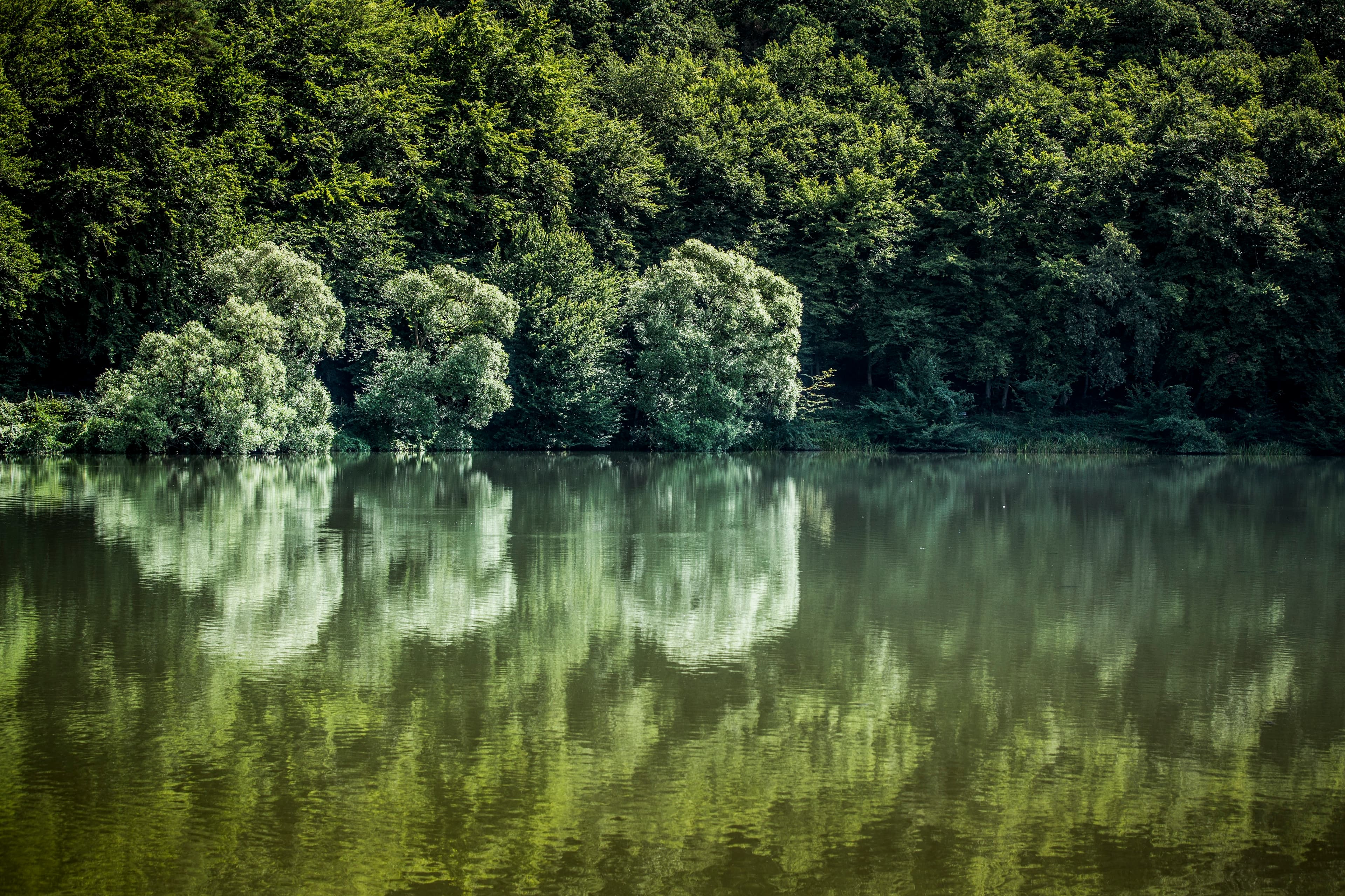 Image at row 5, column 1