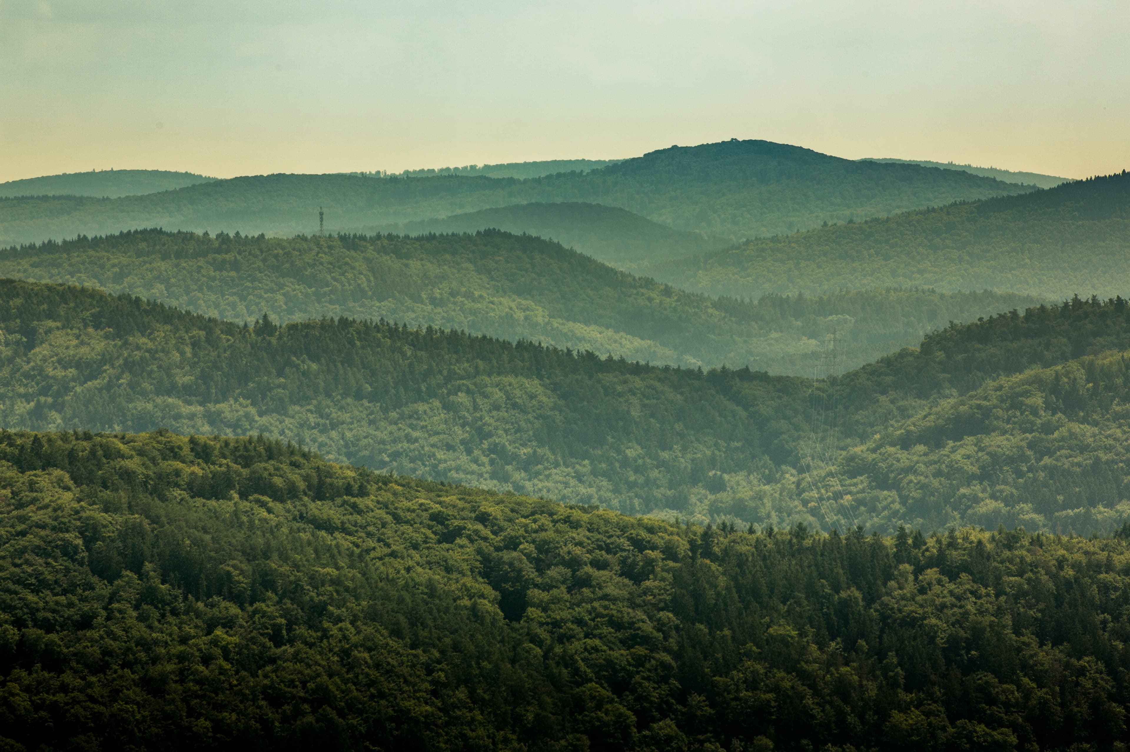 Image at row 9, column 1